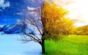 25 Powerful Ways to Completely Transform Your Life