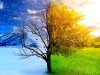 25 Powerful Ways to Completely Transform Your Life