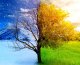 25 Powerful Ways to Completely Transform Your Life