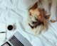 What to Try When You Can’t Bring Yourself to Study
